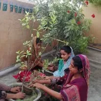 Green Seekers Activity